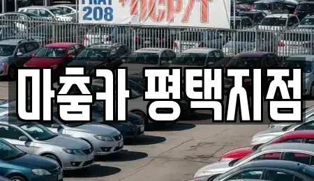 경기 평택시 지산동 렌트카,단기렌트카,장기렌트카,중고차,중고차매매,중고차매입