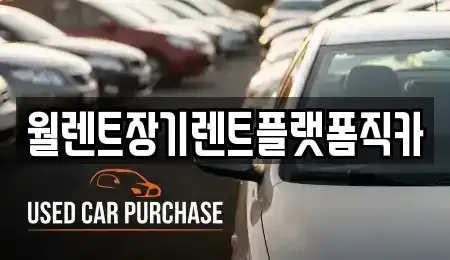 경기 평택시 지산동 렌트카 전문 월렌트장기렌트플랫폼직카