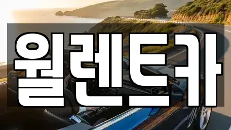 경기 평택시 지산동 렌트카 전문 월렌트카