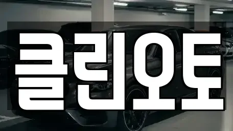 경기 평택시 지산동 중고차 전문 클린오토