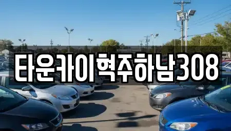 경기 하남시 풍산동 단기렌트카 전문 타운카이혁주하남308