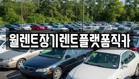 경기 하남시 풍산동 장기렌트카 전문 월렌트장기렌트플랫폼직카