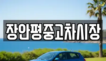 경기 하남시 풍산동 중고차 전문 장안평중고차시장