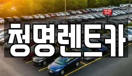 경기 화성시 기산동 단기렌트카 전문 청명렌트카