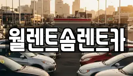 경기 화성시 기산동 렌트카 전문 월렌트솜렌트카