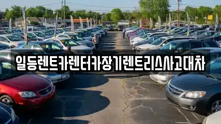 경기 화성시 남양읍 장기렌트카 전문 일등렌트카렌터카장기렌트리스사고대차