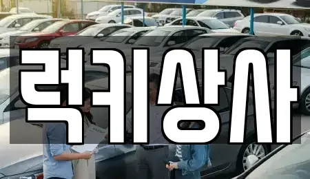 경기 화성시 남양읍 중고차 전문 럭키상사