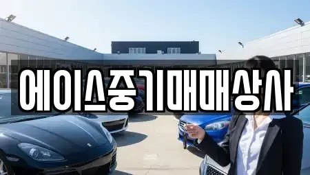 경기 화성시 남양읍 중고차 전문 에이스중기매매상사