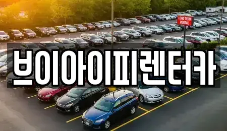 경기 화성시 신동 렌트카 전문 브이아이피렌터카