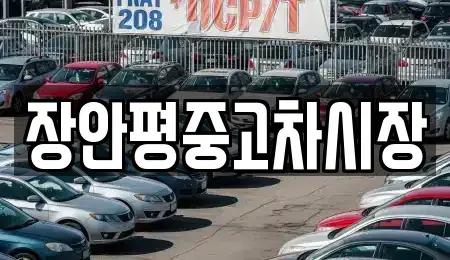 경기도 가평군 북면 중고차매매 전문 장안평중고차시장
