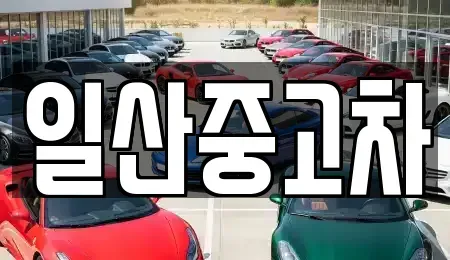 경기도 고양시 덕양구 관산동 중고차매매 전문 일산중고차