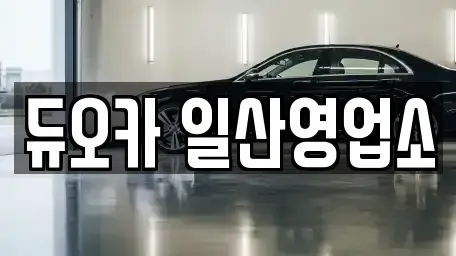 경기도 고양시 덕양구 행주내동 단기렌트카 전문 듀오카 일산영업소