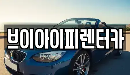 경기도 고양시 덕양구 행주내동 렌트카 전문 브이아이피렌터카