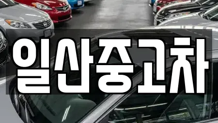 경기도 고양시 덕양구 행주내동 중고차매매 전문 일산중고차