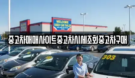 경기도 고양시 덕양구 행주내동 중고차매매 전문 중고차매매사이트중고차시세조회중고차구매