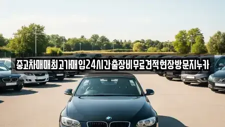 경기도 고양시 덕양구 행주내동 중고차매입 전문 중고차매매최고가매입24시간출장비무료견적현장방문지누카