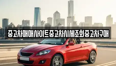 경기도 고양시 일산서구 구산동 중고차 전문 중고차매매사이트중고차시세조회중고차구매