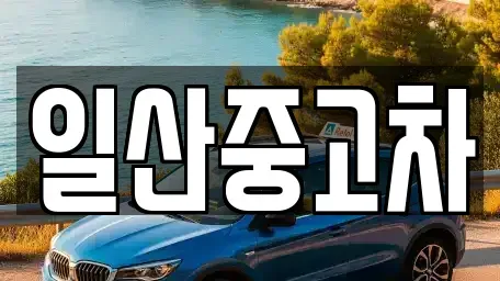 경기도 고양시 일산서구 구산동 중고차매매 전문 일산중고차