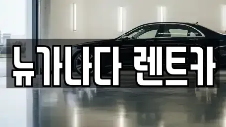 경기도 김포시 감정동 렌트카 전문 뉴가나다 렌트카