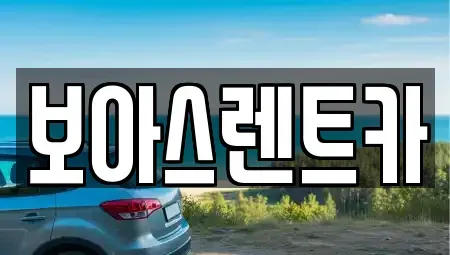 경기도 김포시 감정동 렌트카 전문 보아스렌트카