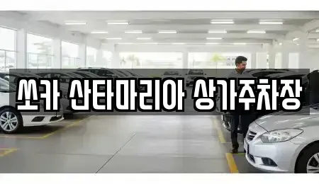 경기도 김포시 감정동 장기렌트카 전문 쏘카 산타마리아 상가주차장