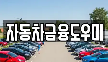 경기도 김포시 감정동 장기렌트카 전문 자동차금융도우미