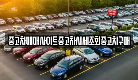 경기도 김포시 감정동 중고차매매 전문 중고차매매사이트중고차시세조회중고차구매