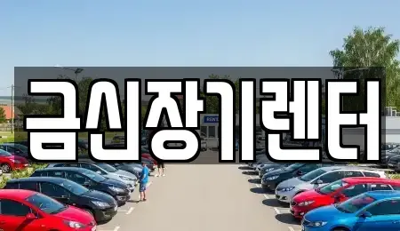 경기도 김포시 걸포동 단기렌트카 전문 금신장기렌터