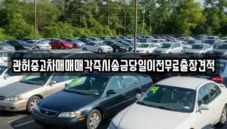경기도 김포시 걸포동 중고차 전문 관허중고차매매매각즉시송금당일이전무료출장견적