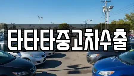 경기도 김포시 걸포동 중고차 전문 타타타중고차수출
