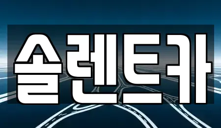 경기도 남양주시 금곡동 렌트카 전문 솔렌트카