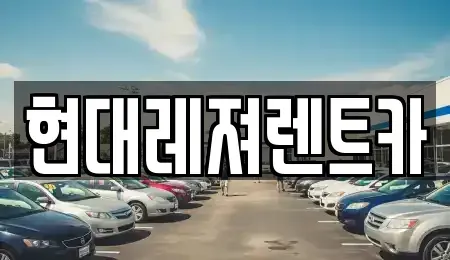 경기도 남양주시 금곡동 렌트카 전문 현대레져렌트카