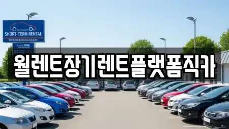 경기도 남양주시 금곡동 장기렌트카 전문 월렌트장기렌트플랫폼직카