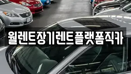 경기도 동두천시 장기렌트카 전문 월렌트장기렌트플랫폼직카