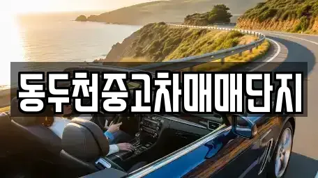 경기도 동두천시 중고차 전문 동두천중고차매매단지