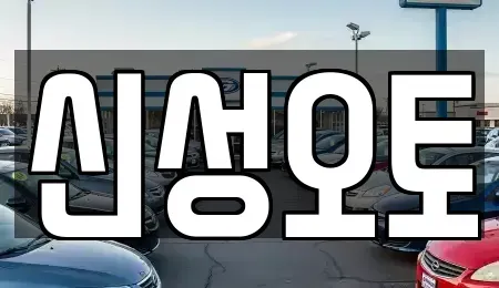 경기도 수원시 권선구 권선동 중고차 전문 신성오토
