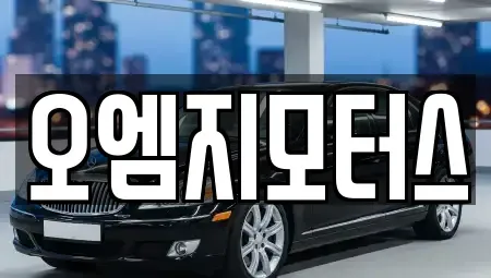 경기도 수원시 권선구 권선동 중고차매매 전문 오엠지모터스