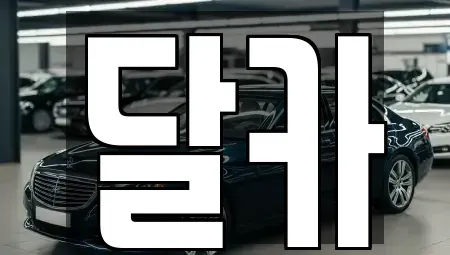 경기도 수원시 권선구 단기렌트카 전문 달카