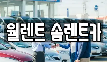 경기도 수원시 권선구 렌트카 전문 월렌트 솜렌트카