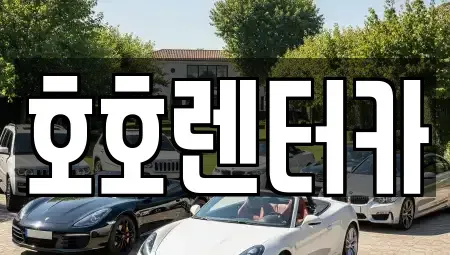 경기도 수원시 권선구 세류동 렌트카 전문 호호렌터카