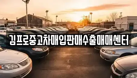경기도 수원시 권선구 중고차매입 전문 김프로중고차매입판매수출매매센터
