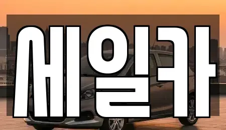경기도 수원시 권선구 평리동 중고차매매 전문 세일카