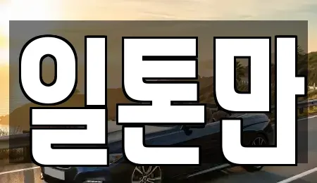 경기도 수원시 권선구 평리동 중고차매매 전문 일톤만