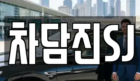경기도 수원시 권선구 평리동 중고차매매 전문 차담진SJ