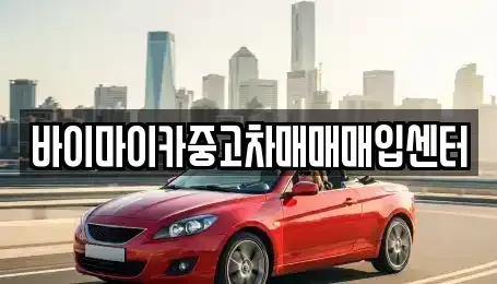 경기도 시흥시 장현동 중고차 전문 바이마이카중고차매매매입센터