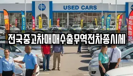 경기도 시흥시 장현동 중고차 전문 전국중고차매매수출무역전차종시세