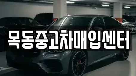 경기도 시흥시 장현동 중고차매입 전문 목동중고차매입센터