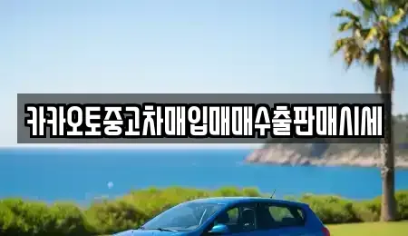 경기도 안산시 상록구 부곡동 중고차 전문 카카오토중고차매입매매수출판매시세