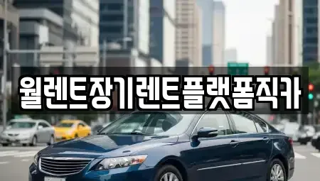 경기도 안성시 가사동 렌트카 전문 월렌트장기렌트플랫폼직카