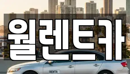 경기도 안성시 가사동 렌트카 전문 월렌트카